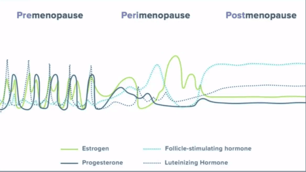 Beginning Perimenopause Cycle 