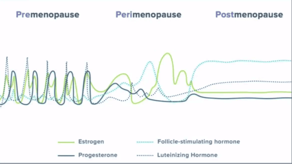 Beginning Perimenopause Overview To Your Health