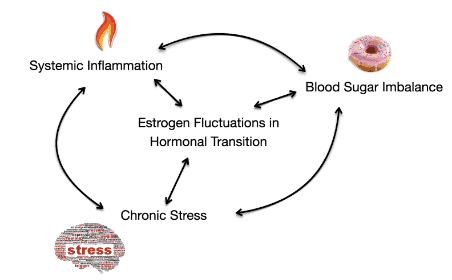 perimenopause and inflammation cycle - women's nutritionist